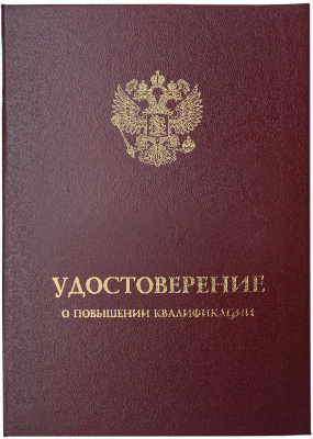 Документ об образовании 2